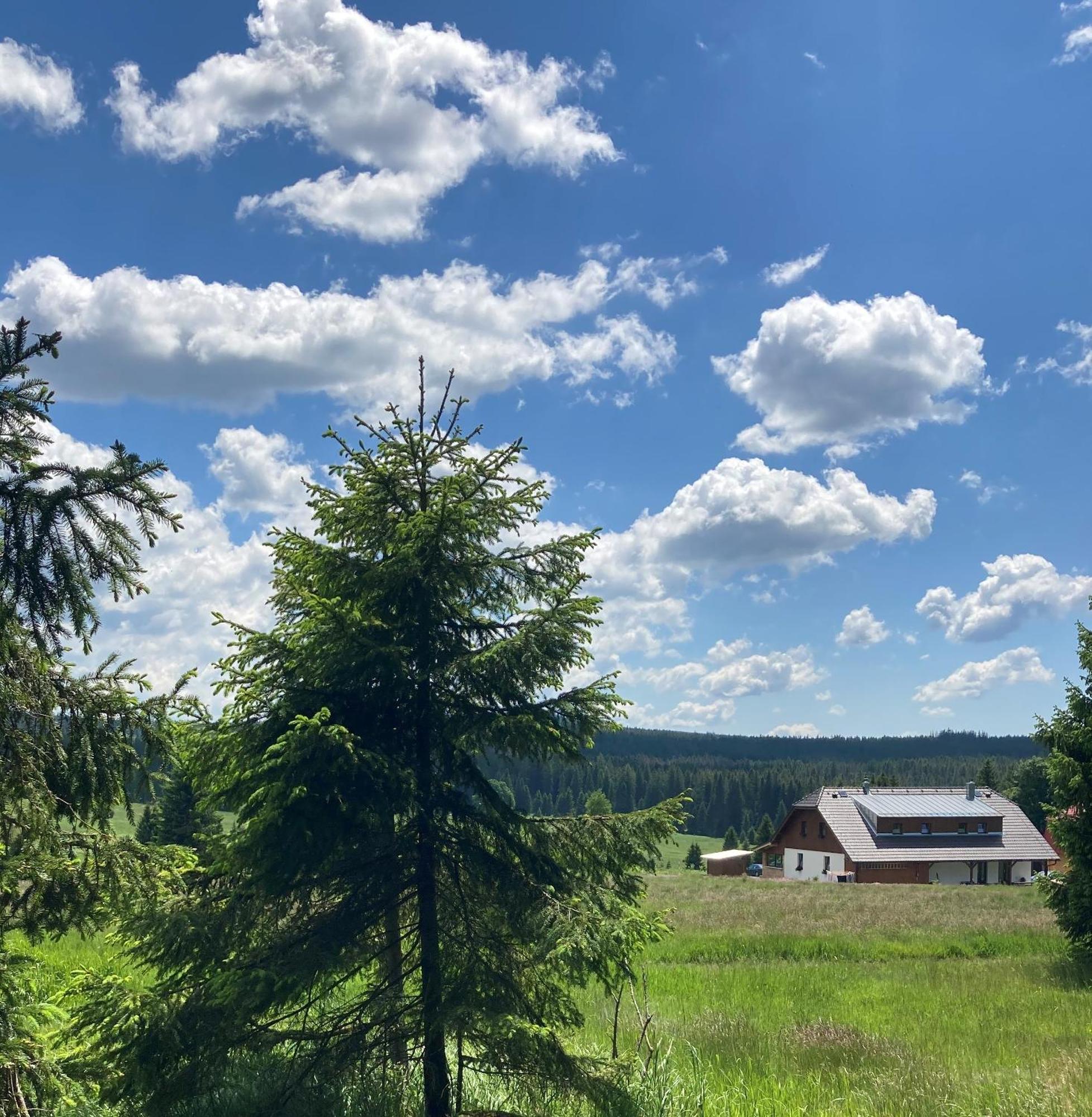 Apartmany V Chalupe Nad Modravou Modrava Esterno foto
