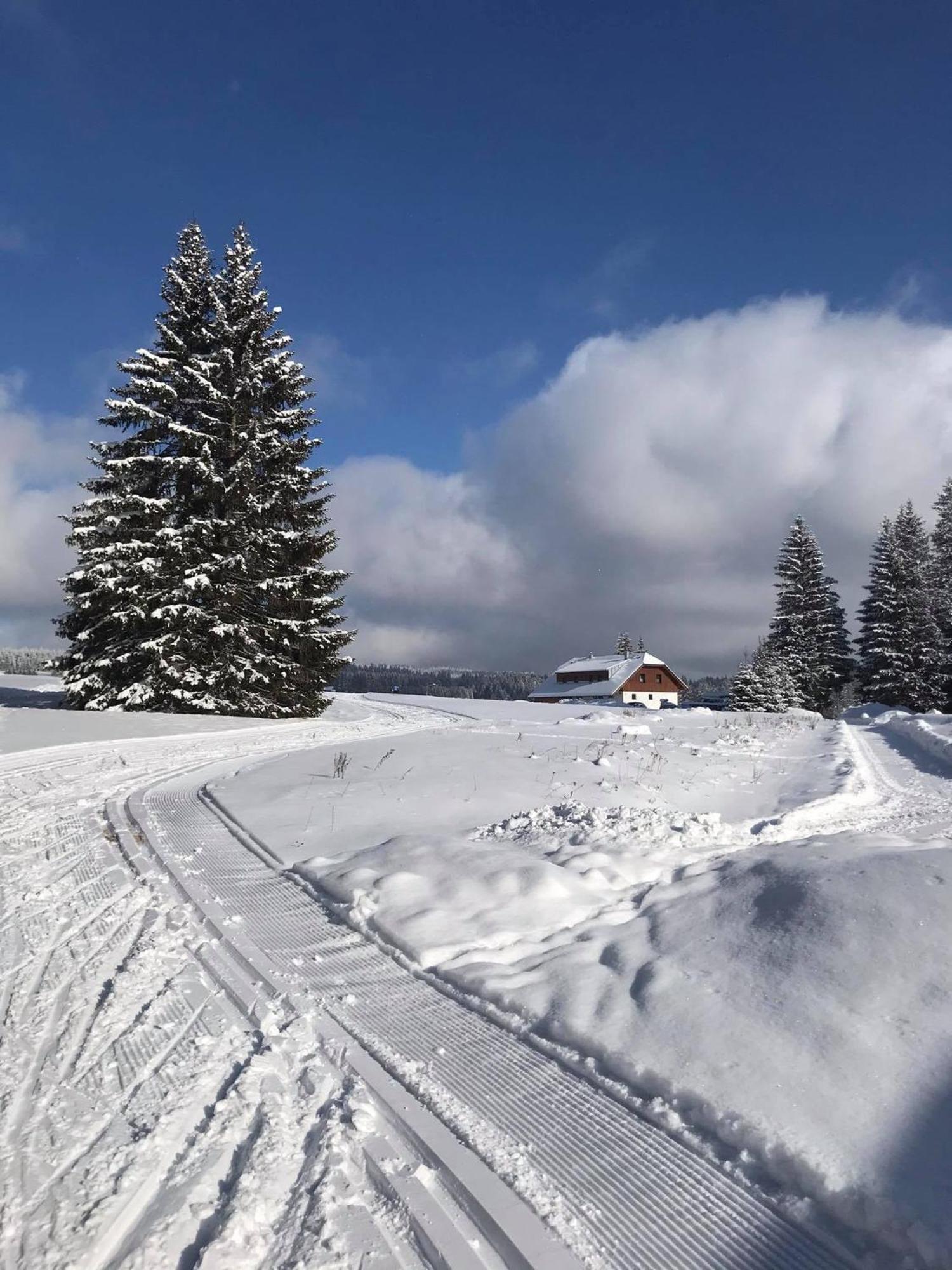 Apartmany V Chalupe Nad Modravou Modrava Esterno foto